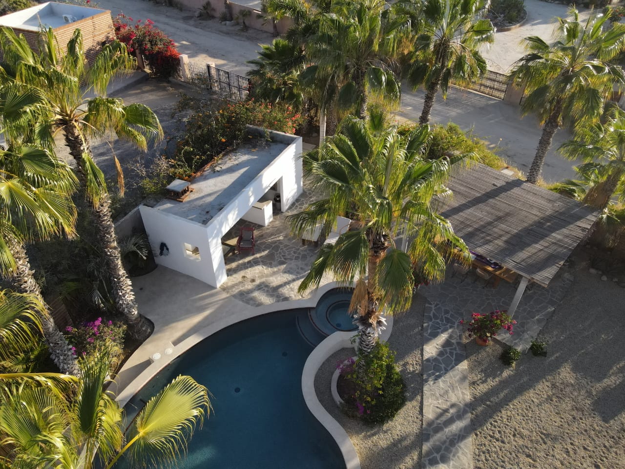 Aerial view of the saltwater pool, pool house and shaded pergola among the palms at Casa del Arte
