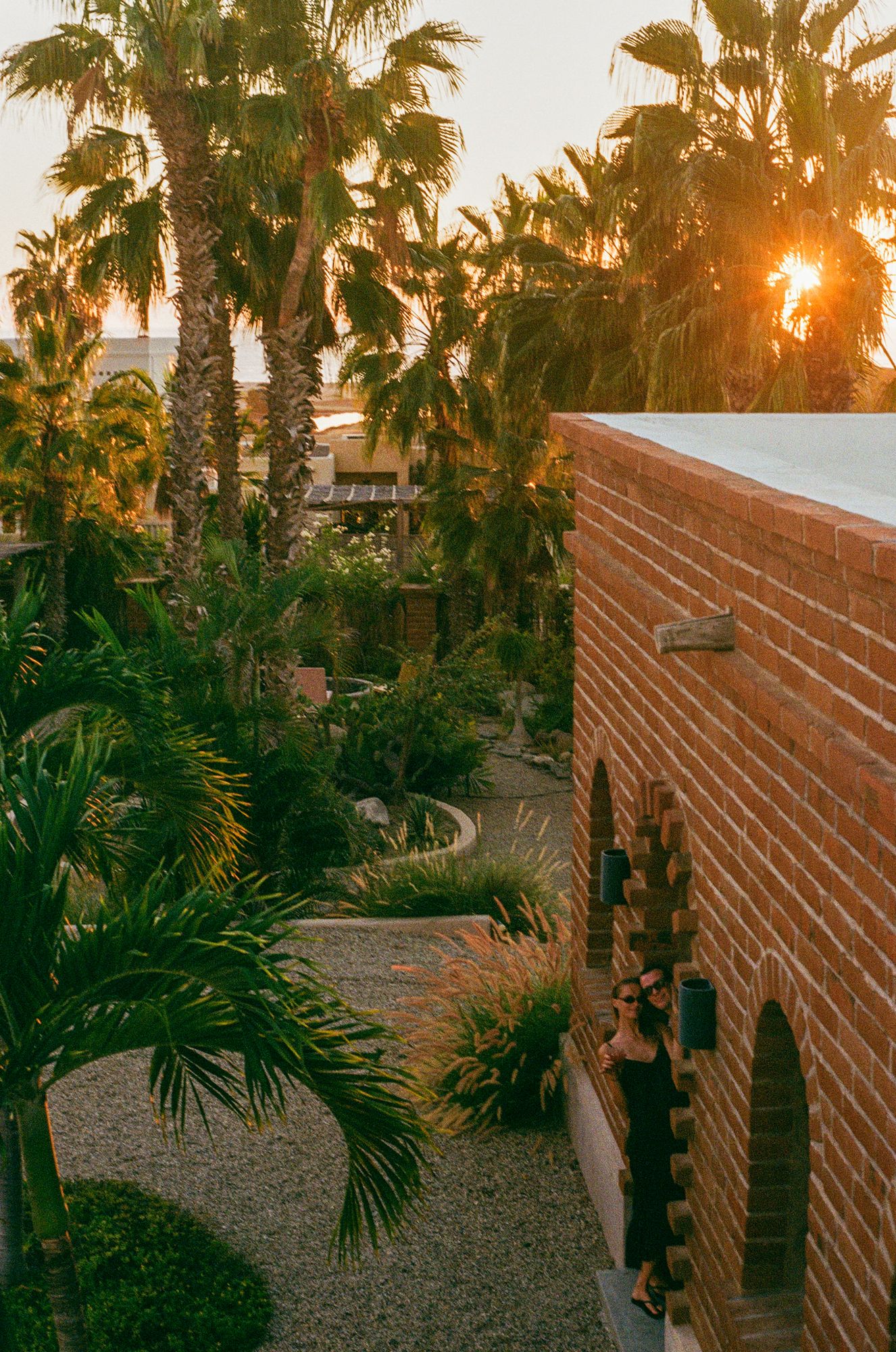 Late afternoon light falling across the planted garden at Casa del Arte