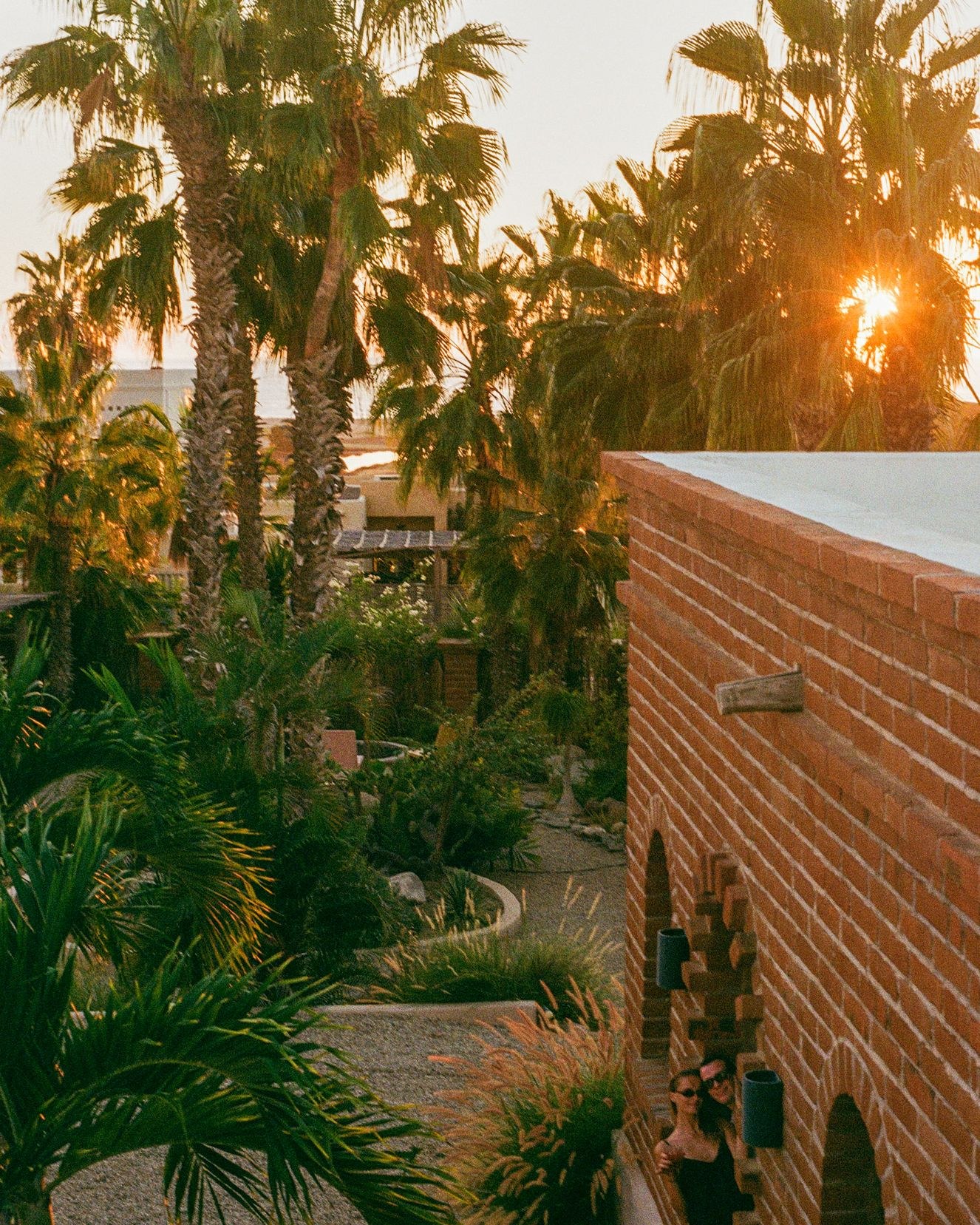 Sunset breaking through the palms over the gardens at Casa del Arte, the brick wall framing the view